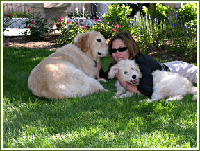 Josh, Brenda & Gracie