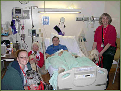 TDInc dogs in the ICU