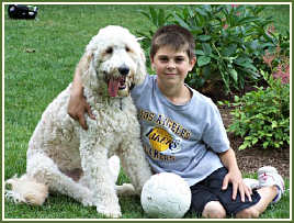 Aaron & Aidan with Goldendoodles!