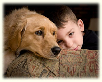 Petite Golden Retriever